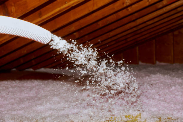 Best Insulation Repair Services  in Princeton, FL