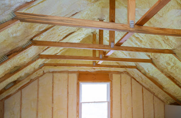 Best Local Insulation Services  in Princeton, FL