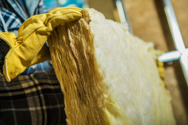 Best Home Insulation Services  in Princeton, FL