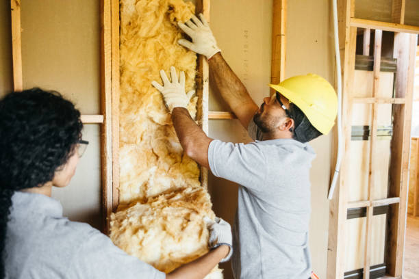 Best Attic Insulation Installation  in Princeton, FL